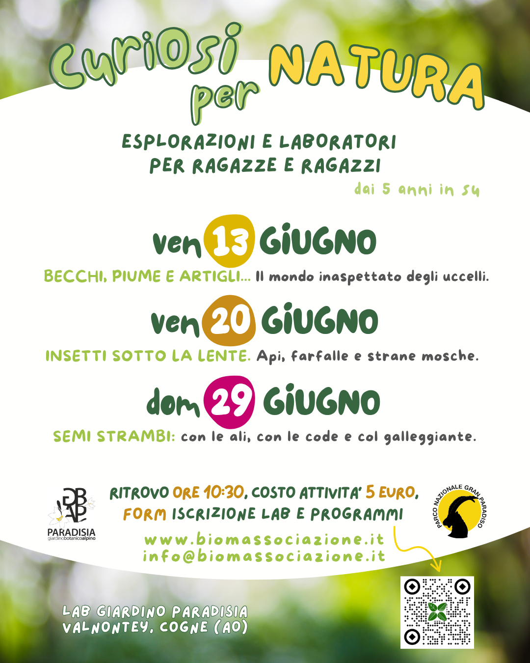 immagine per 