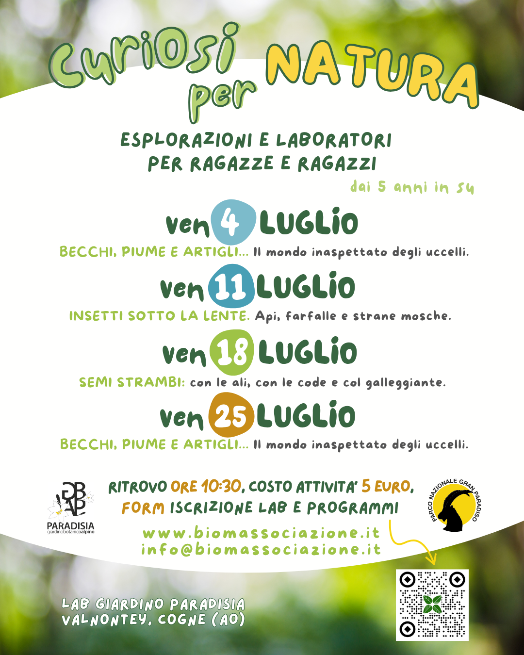 immagine per 