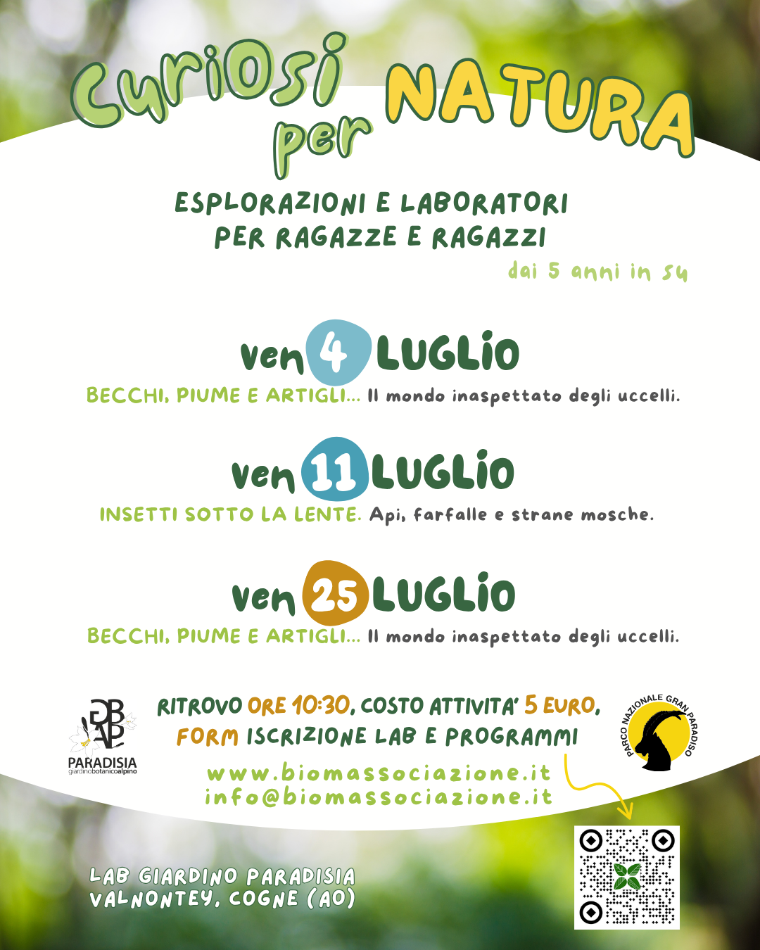immagine per 