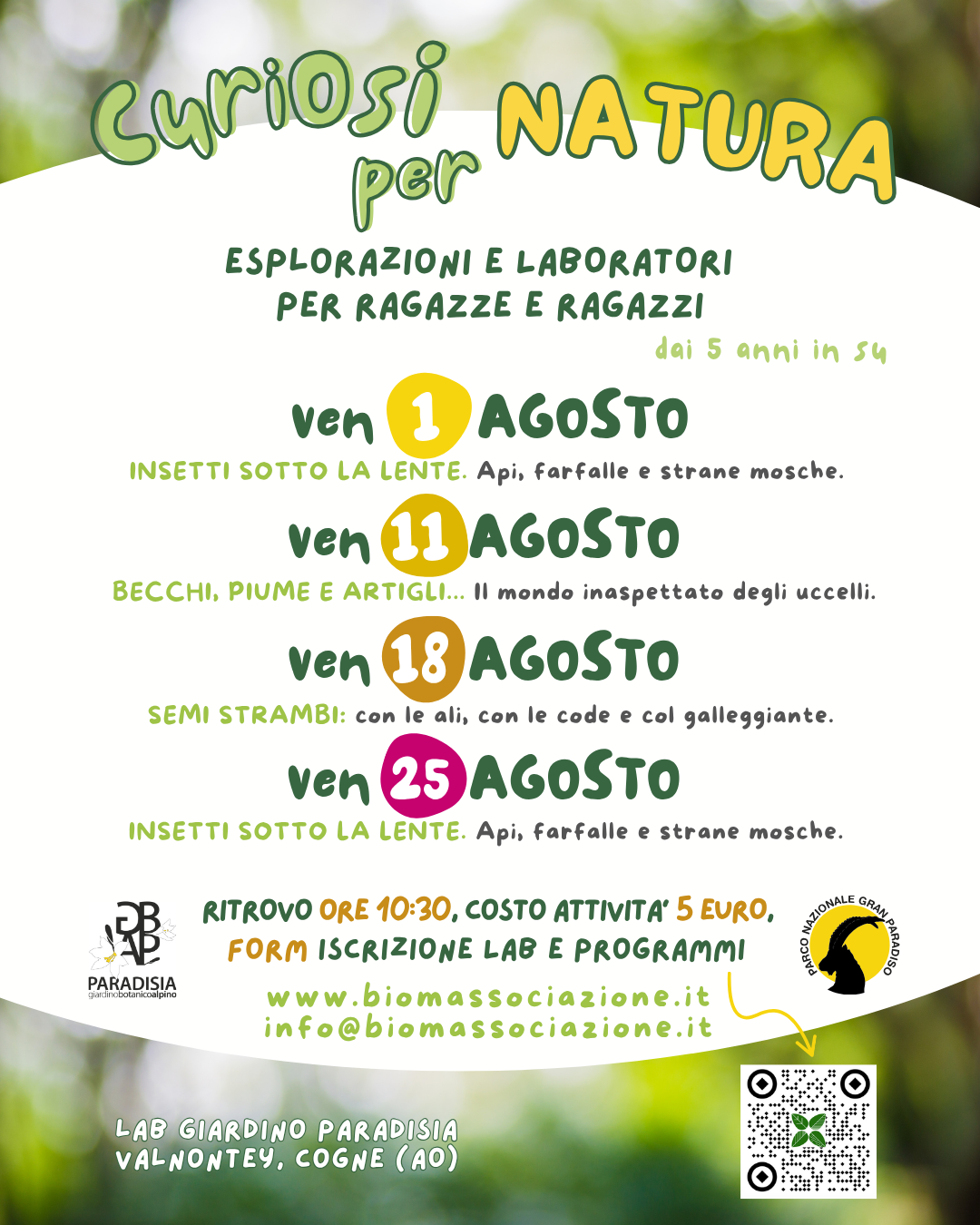 immagine per 
