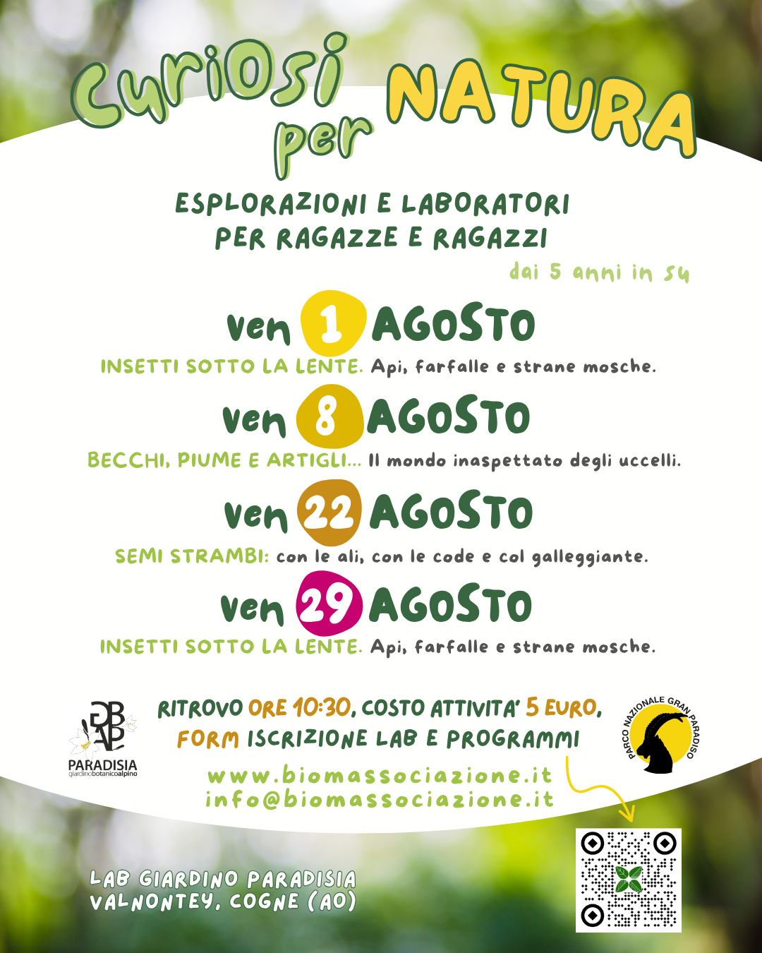 immagine per 