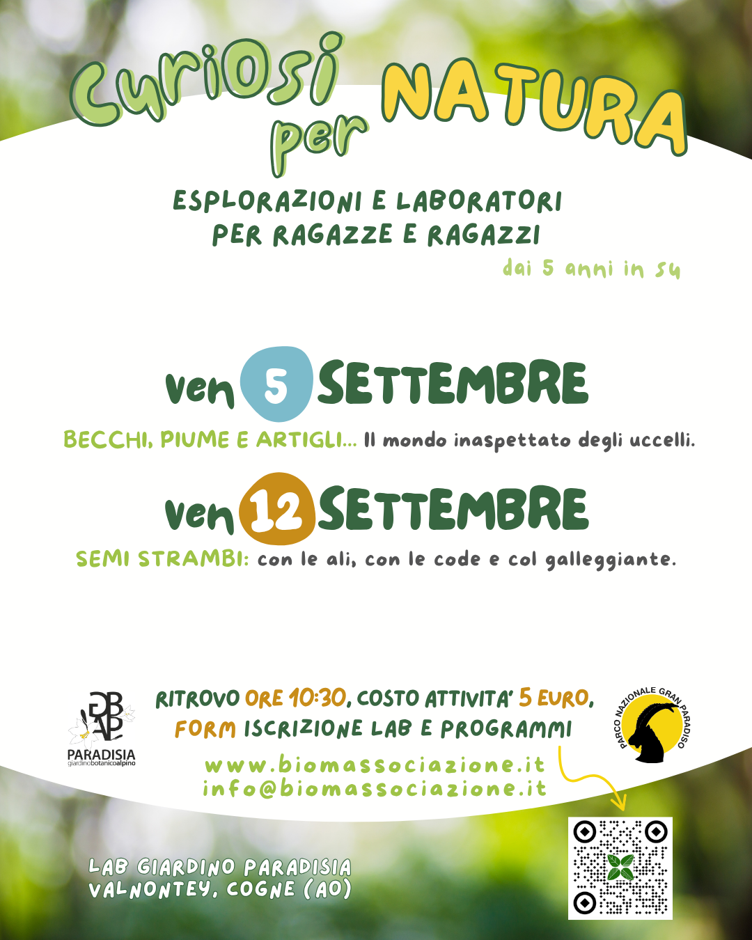 immagine per 