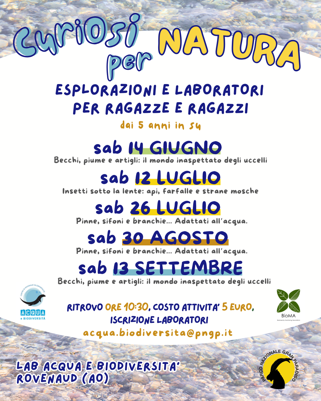 immagine per 