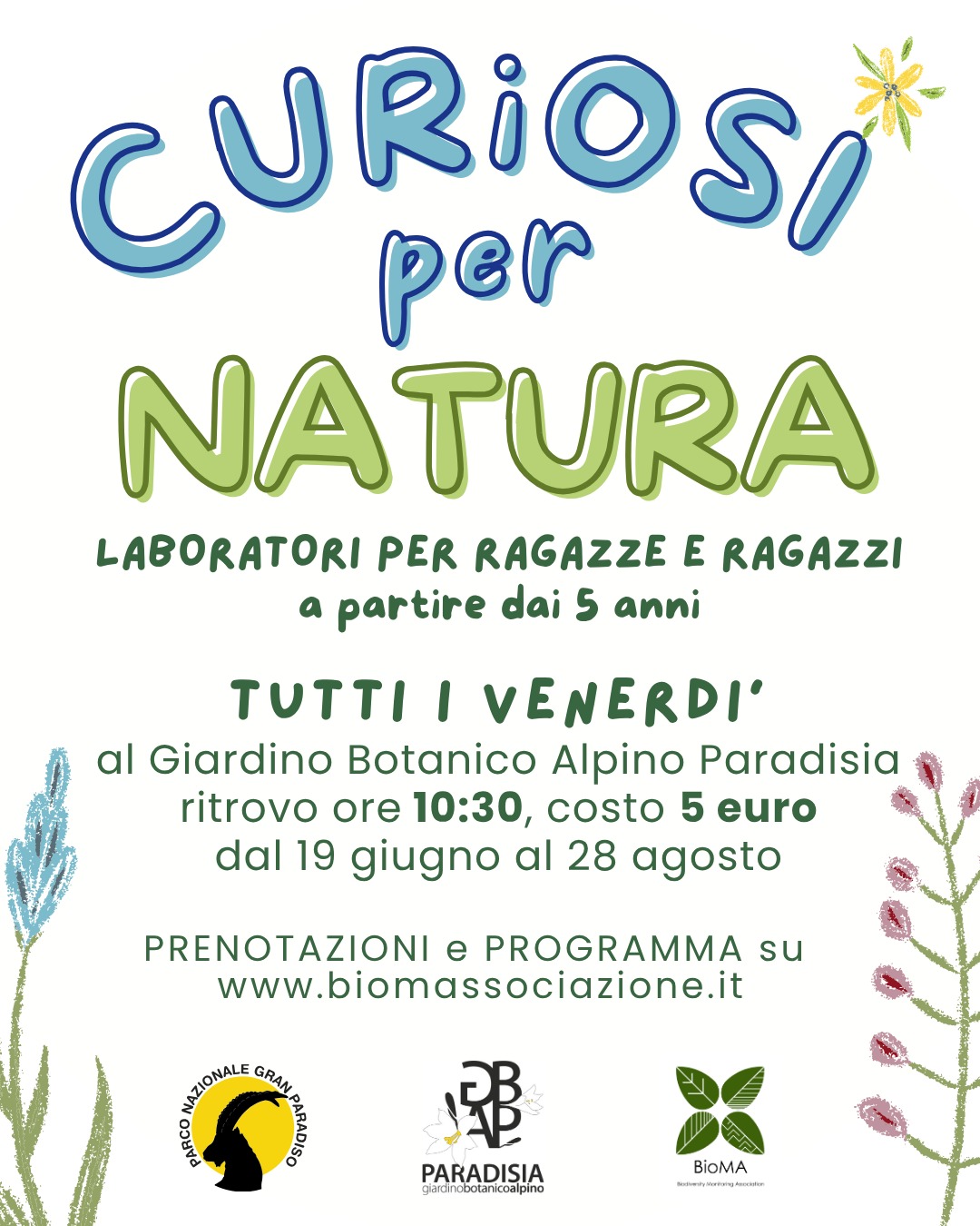 immagine per