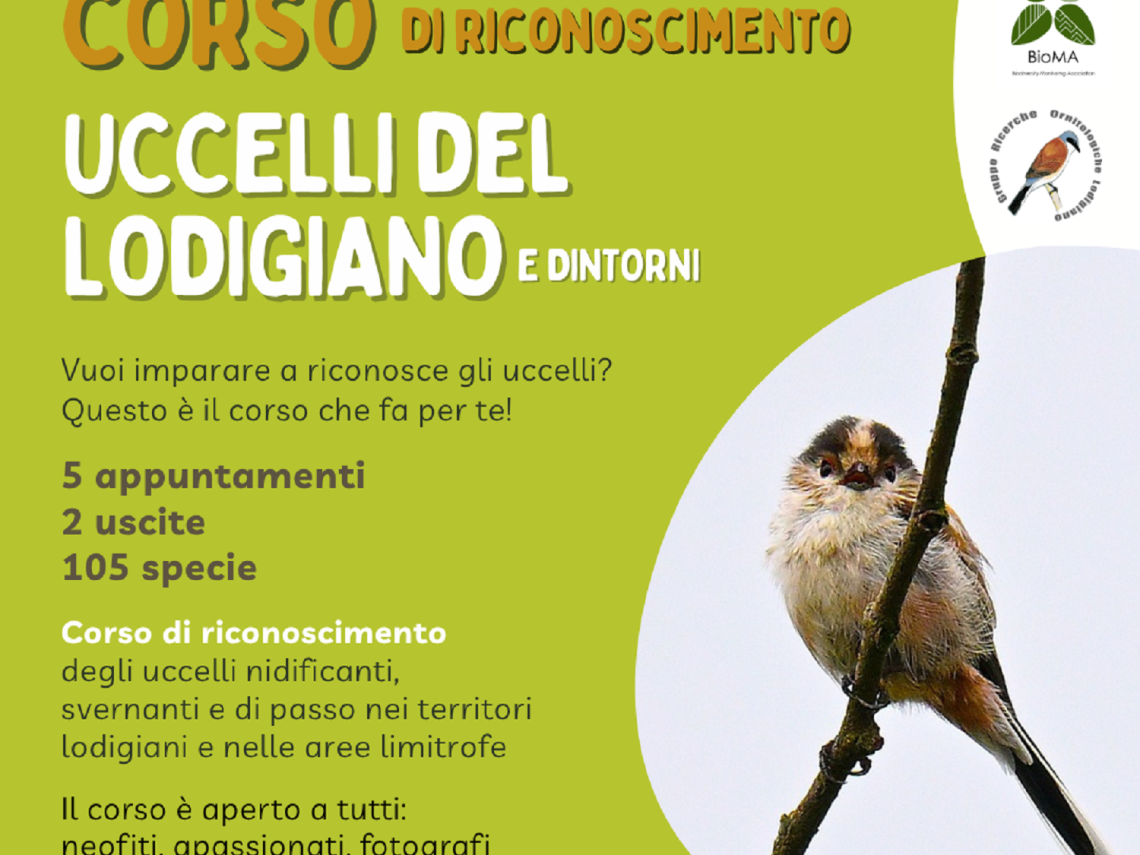 immagine per Corso di riconoscimento degli UCCELLI del LODIGIANO … e dintorni